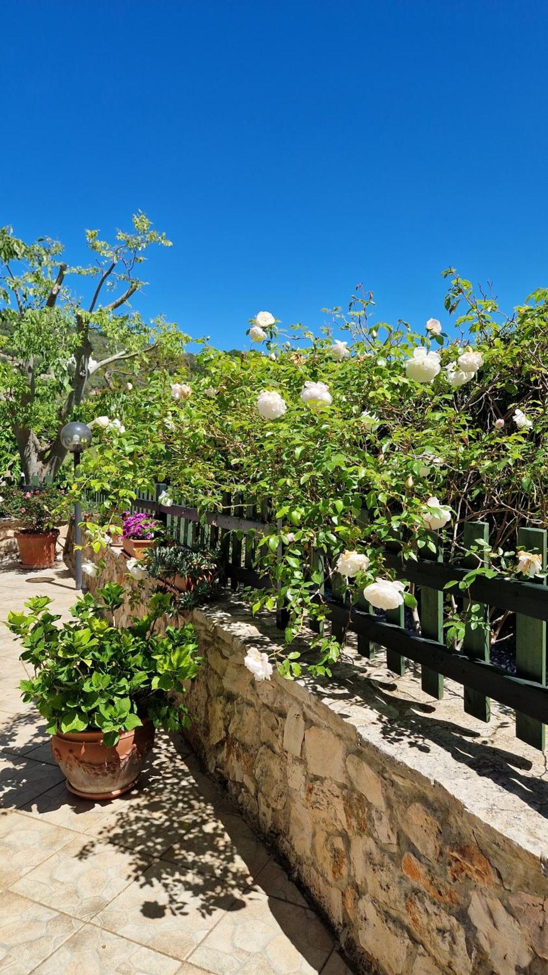 Villa Trullo Grande Noce Ostuni Exterior foto